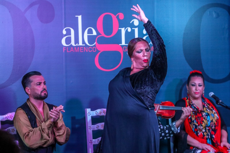 opiniones sobre el espectáculo flamenco en Malaga de Tablao Alegria