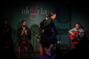 Opiniones sobre el espectáculo flamenco en Málaga de Tablao Alegría