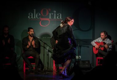 Opiniones sobre el espectáculo flamenco en Málaga de Tablao Alegría